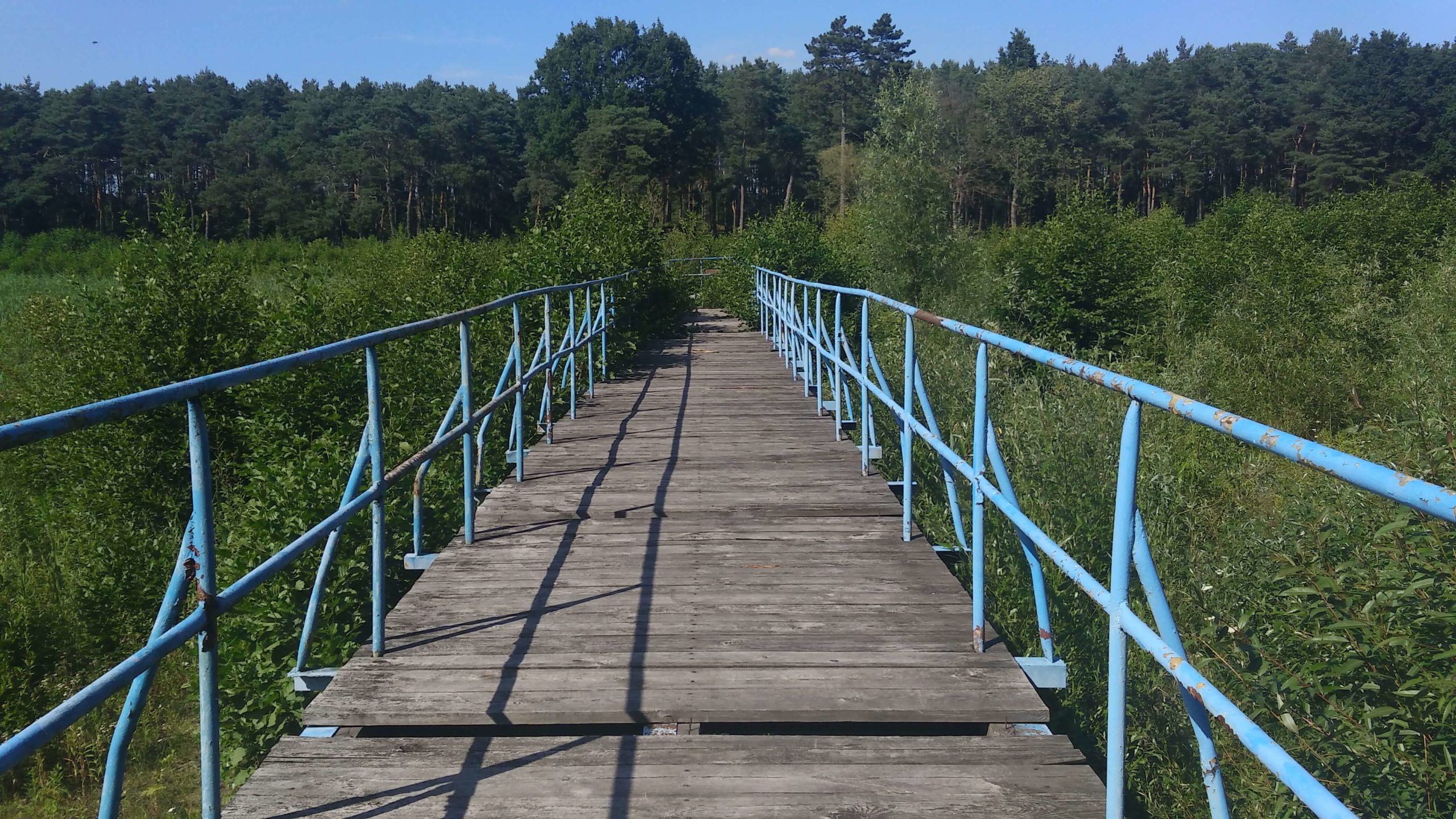 Joanna Mlącka - most